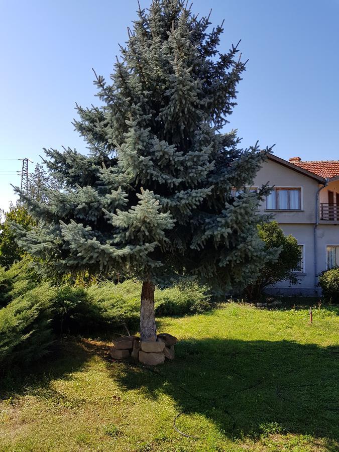 Къща За Гости Садово Guest House Sadovo Eksteriør bilde